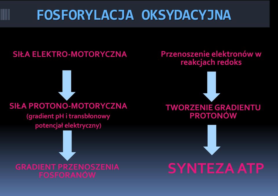 PROTONO-MOTORYCZNA (gradient ph i transbłonowy potencjał