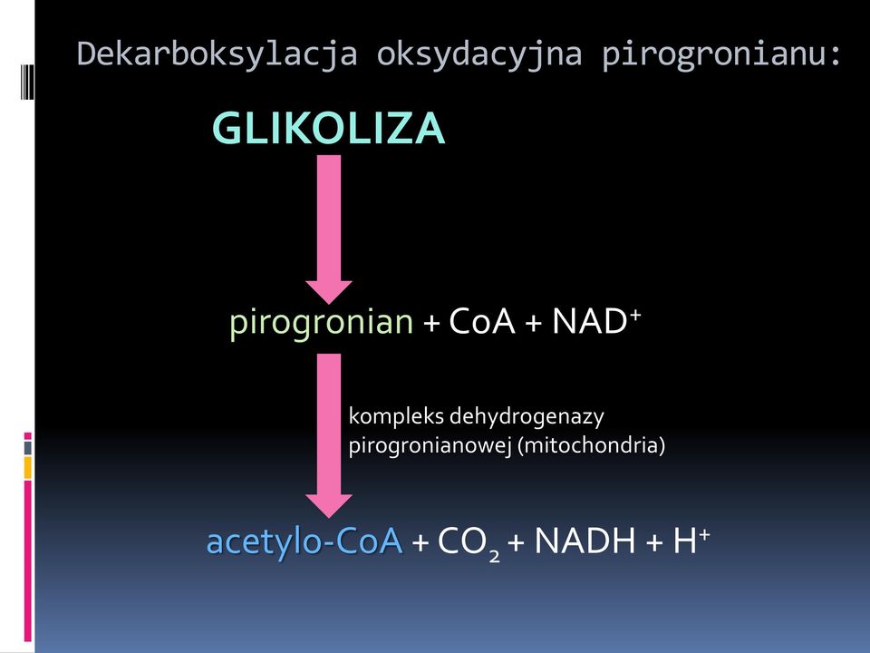 CoA + NAD + kompleks dehydrogenazy