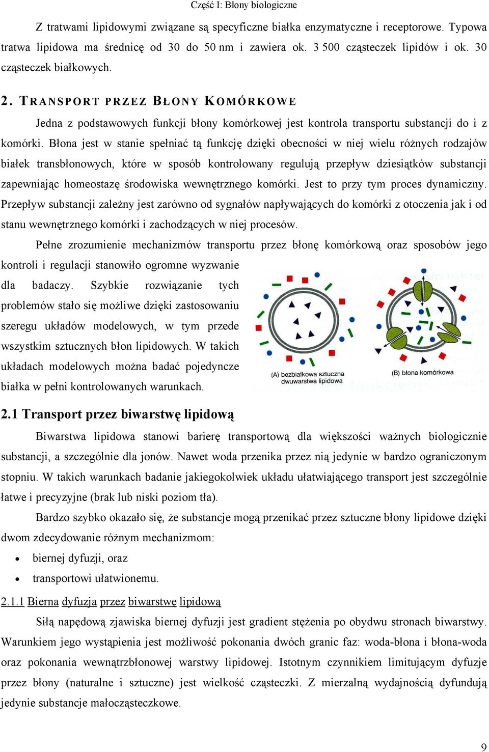 Błona jest w stanie spełniać tą funkcję dzięki obecności w niej wielu różnych rodzajów białek transbłonowych, które w sposób kontrolowany regulują przepływ dziesiątków substancji zapewniając