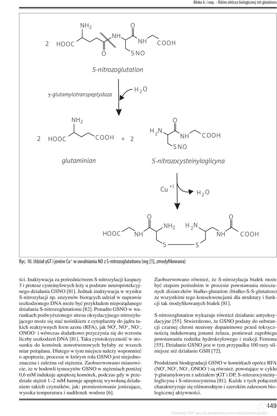 enzymów biorących udział w naprawie uszkodzonego DNA może być przykładem niepożądanego działania S-nitrozoglutationu [82].