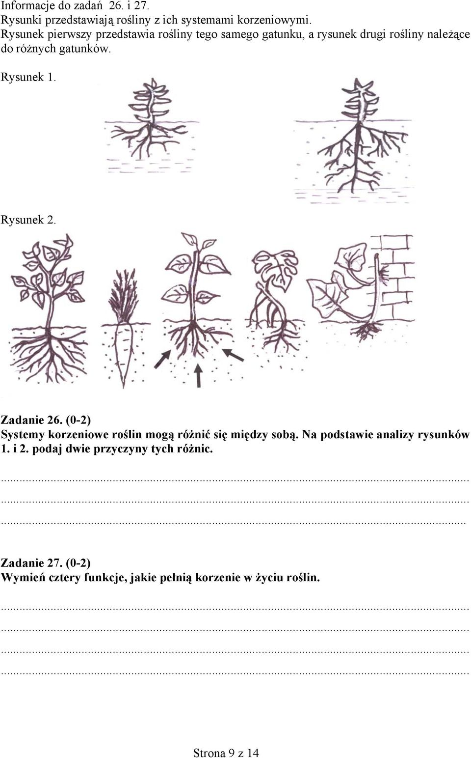 Rysunek 1. Rysunek 2. Zadanie 26. (0-2) Systemy korzeniowe roślin mogą różnić się między sobą.