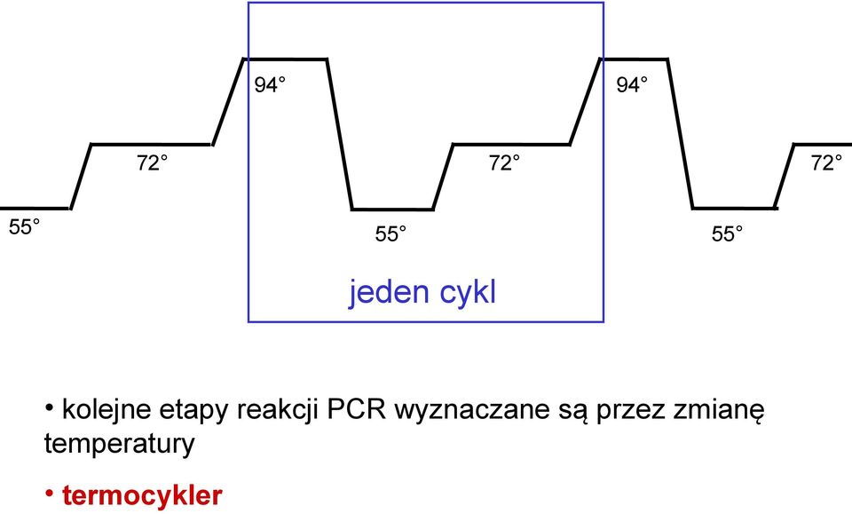 reakcji PCR wyznaczane są