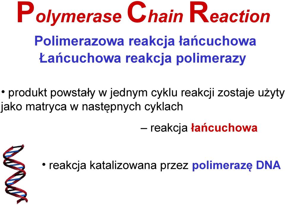 cyklu reakcji zostaje użyty jako matryca w następnych