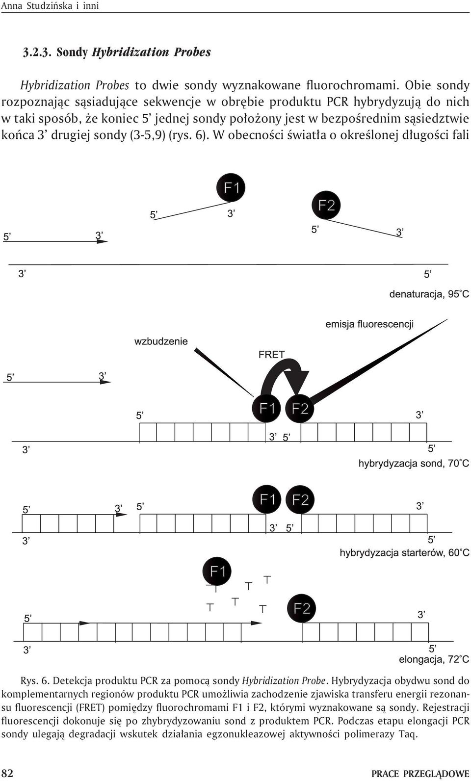 (rys. 6). W obecnoœci œwiat³a o okreœlonej d³ugoœci fali Rys. 6. Detekcja produktu PCR za pomoc¹ sondy Hybridization Probe.