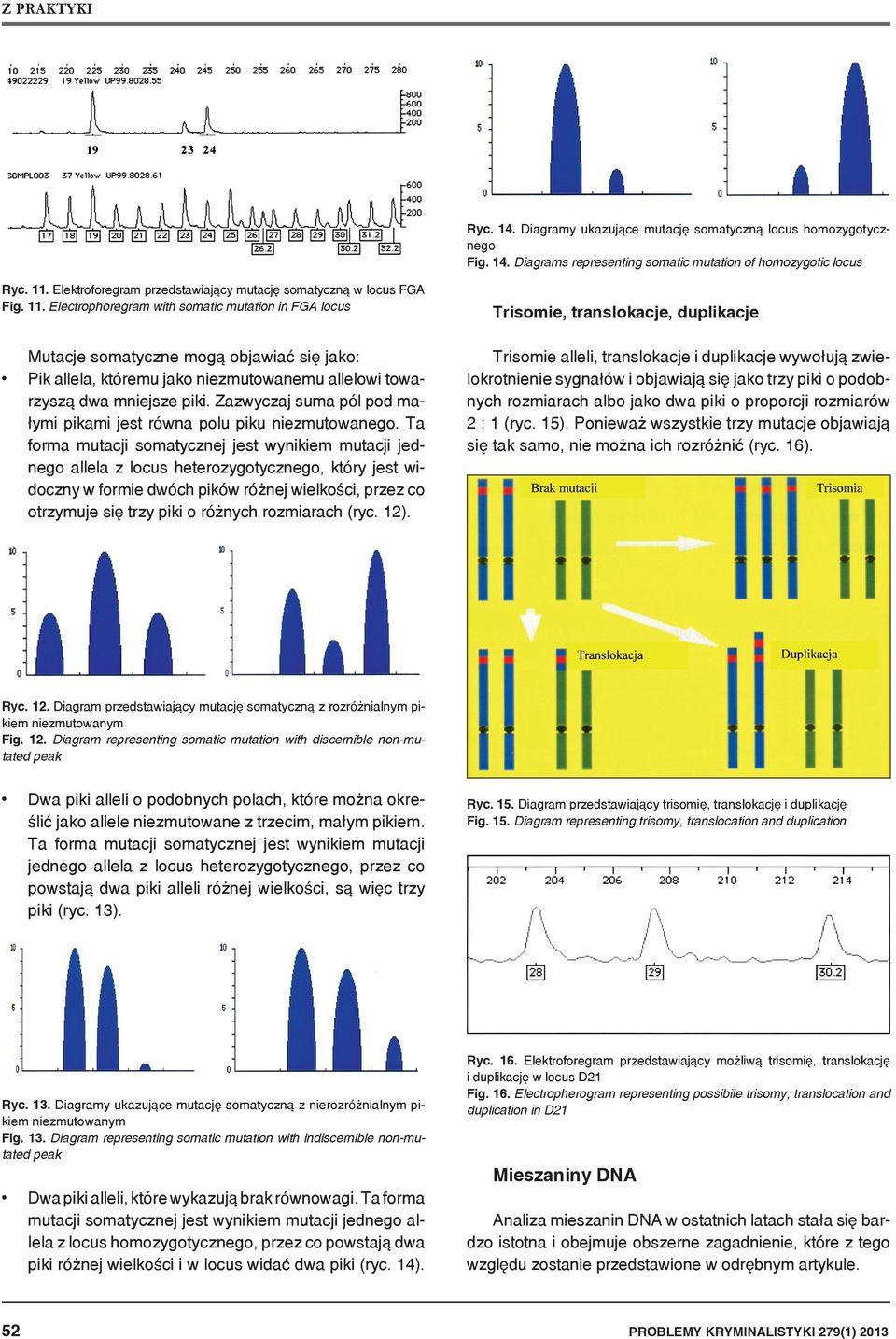 Electrophoregram with somatic mutation in FGA locus Mutacje somatyczne mogą objawiać się jako: Pik allela, któremu jako niezmutowanemu allelowi towarzyszą dwa mniejsze piki.