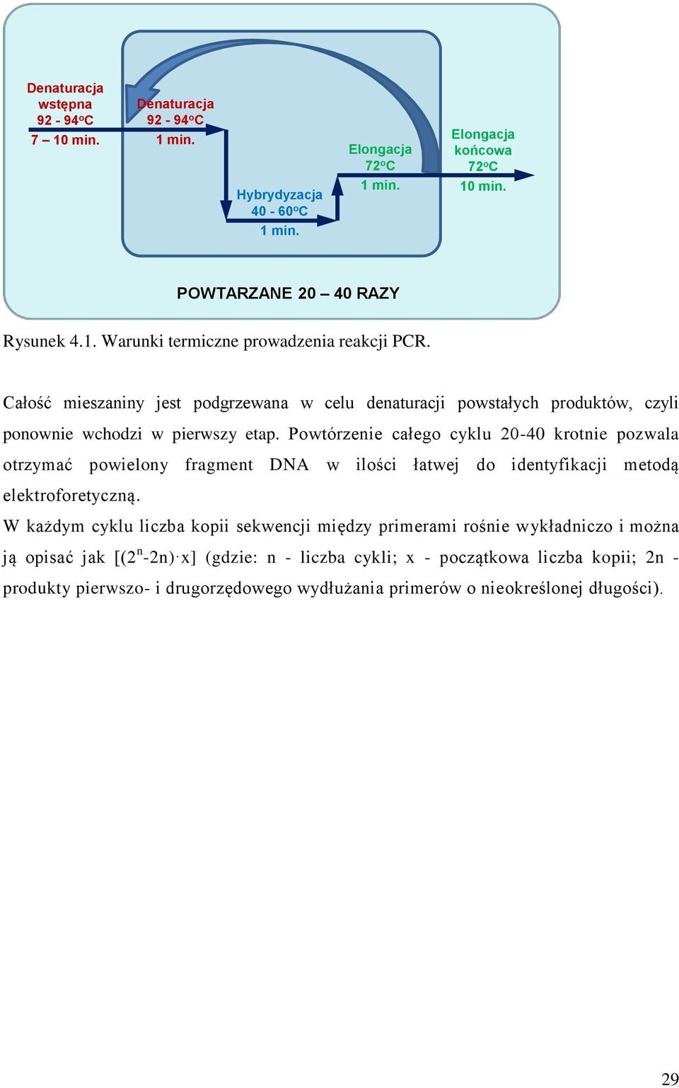 Całość mieszaniny jest podgrzewana w celu denaturacji powstałych produktów, czyli ponownie wchodzi w pierwszy etap.