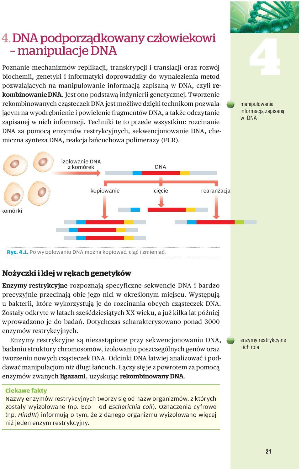 worzenie rekombinowanych cząsteczek DN jest możliwe dzięki technikom pozwalającym na wyodrębnienie i powielenie fragmentów DN, a także odczytanie zapisanej w nich informacji.