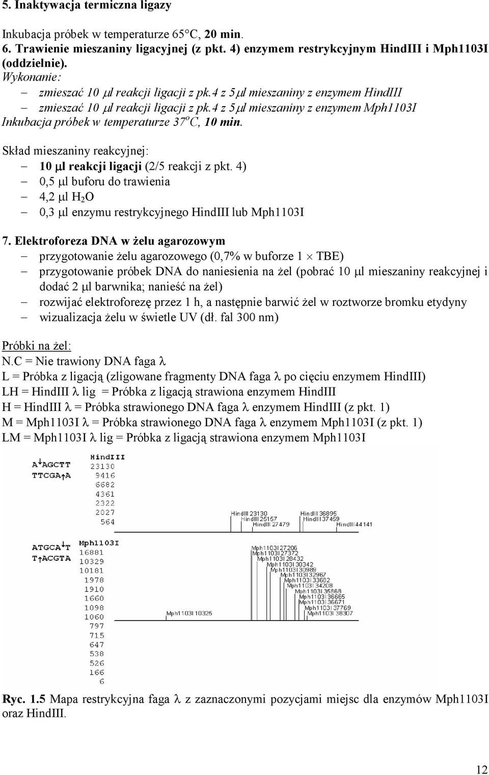 4 z 5µl mieszaniny z enzymem Mph1103I Inkubacja próbek w temperaturze 37 o C, 10 min. Skład mieszaniny reakcyjnej: 10 µl reakcji ligacji (2/5 reakcji z pkt.