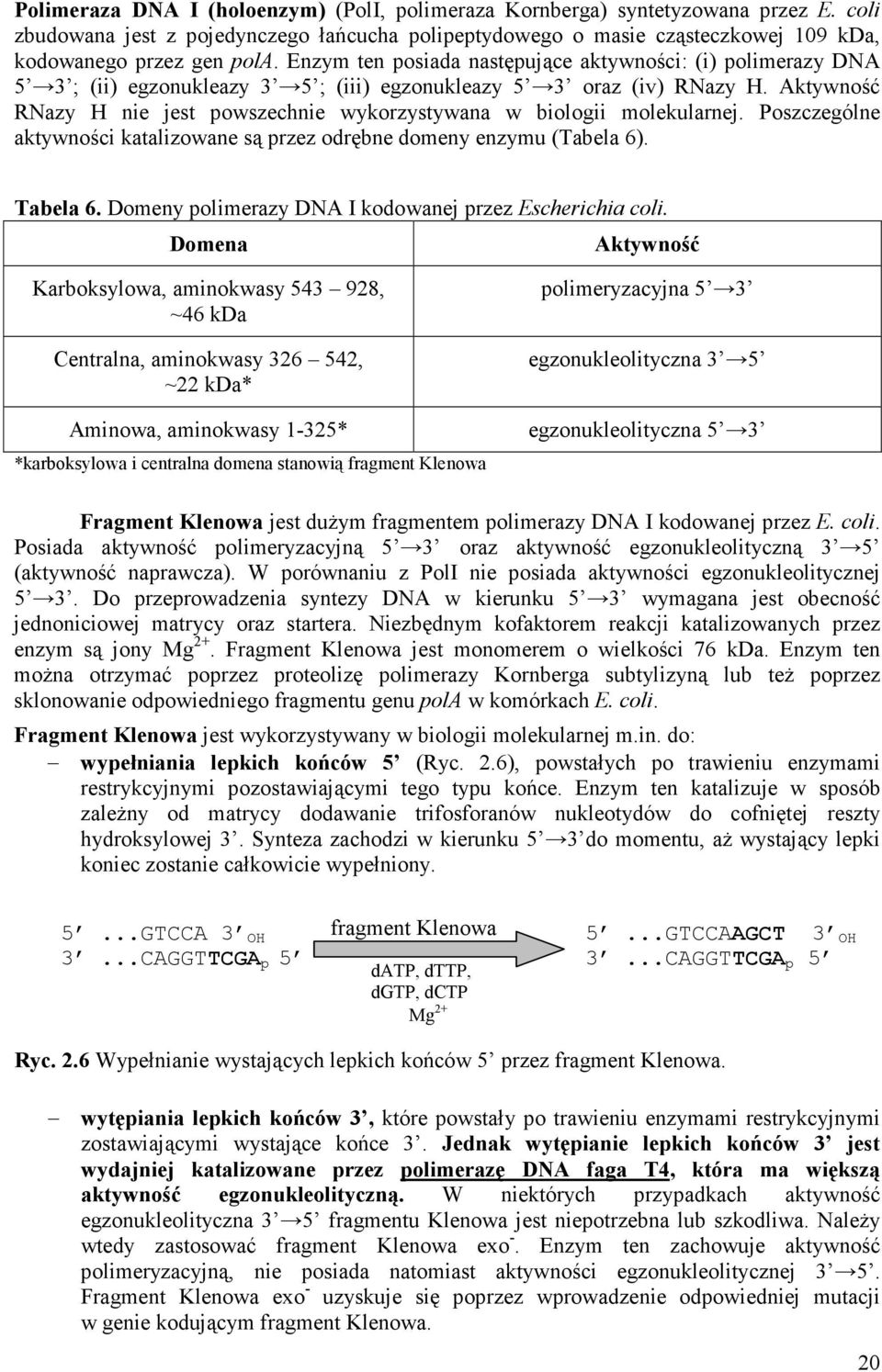 Aktywność RNazy H nie jest powszechnie wykorzystywana w biologii molekularnej. Poszczególne aktywności katalizowane są przez odrębne domeny enzymu (Tabela 6). Tabela 6.