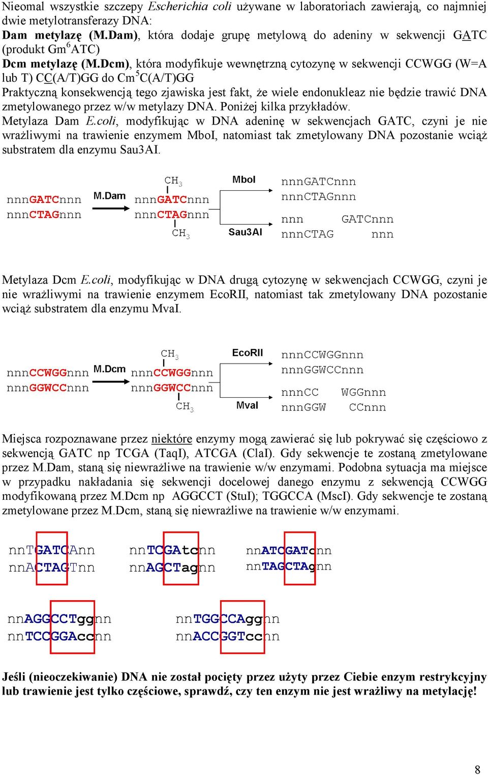 Dcm), która modyfikuje wewnętrzną cytozynę w sekwencji CCWGG (W=A lub T) CC(A/T)GG do Cm 5 C(A/T)GG Praktyczną konsekwencją tego zjawiska jest fakt, Ŝe wiele endonukleaz nie będzie trawić DNA