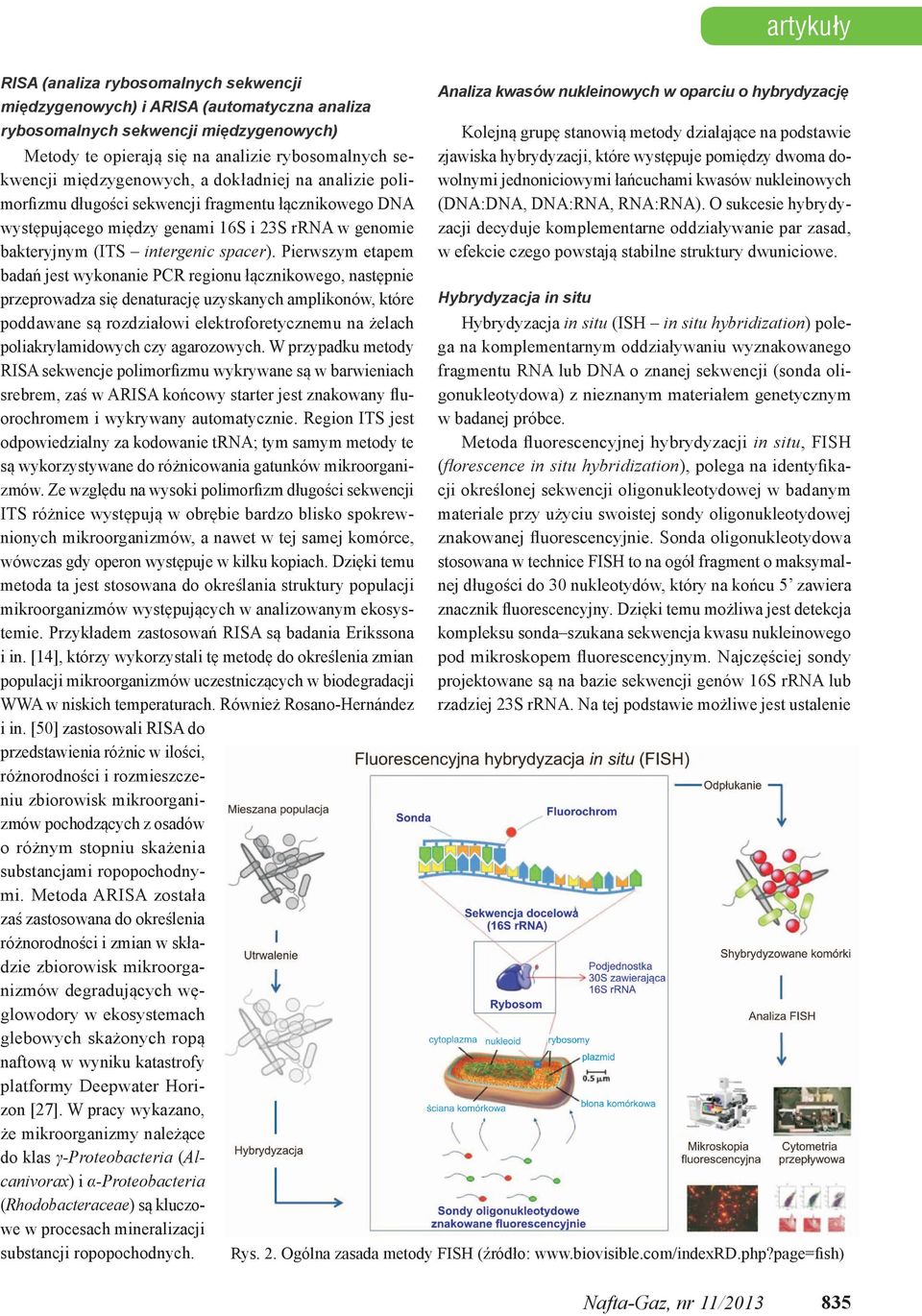 zjawiska hybrydyzacji, które występuje pomiędzy dwoma domorfizmu długości sekwencji fragmentu łącznikowego DNA (DNA:DNA, DNA:RNA, RNA:RNA).