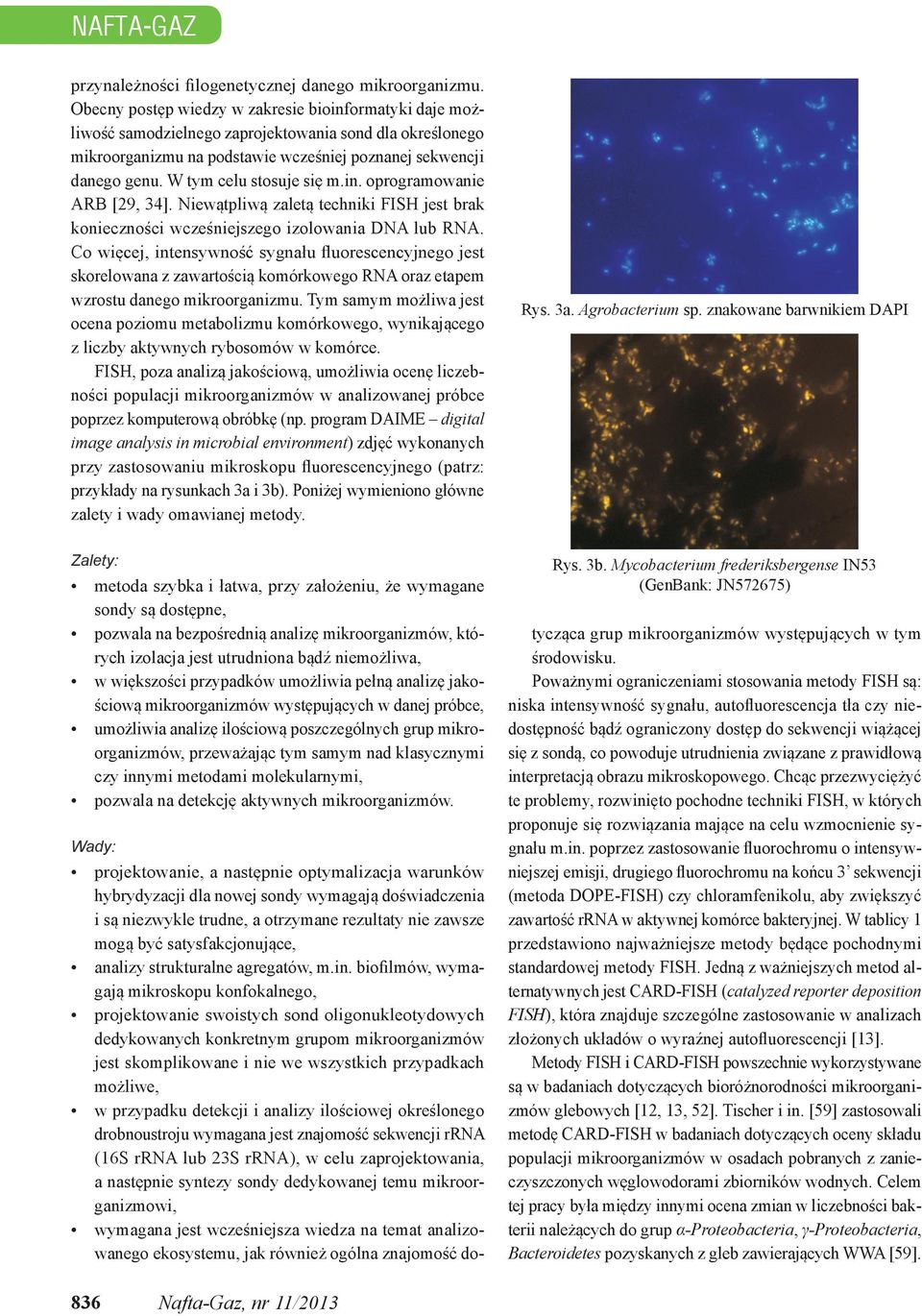 W tym celu stosuje się m.in. oprogramowanie ARB [29, 34]. Niewątpliwą zaletą techniki FISH jest brak konieczności wcześniejszego izolowania DNA lub RNA.