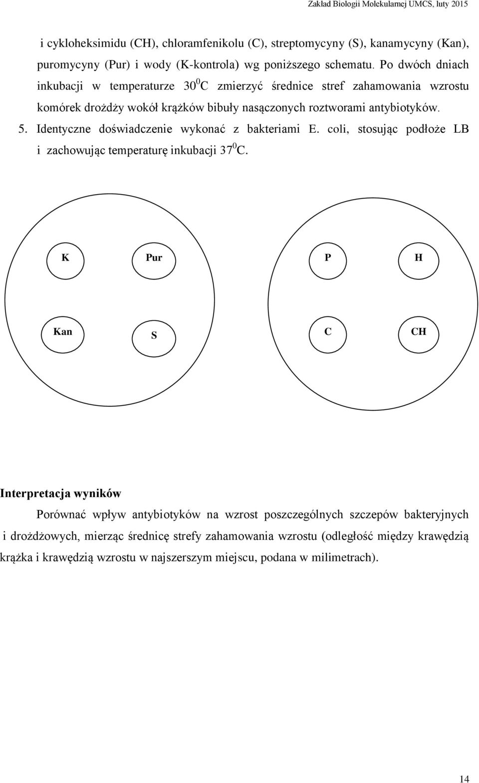 Identyczne doświadczenie wykonać z bakteriami E. coli, stosując podłoże LB i zachowując temperaturę inkubacji 37 0 C.