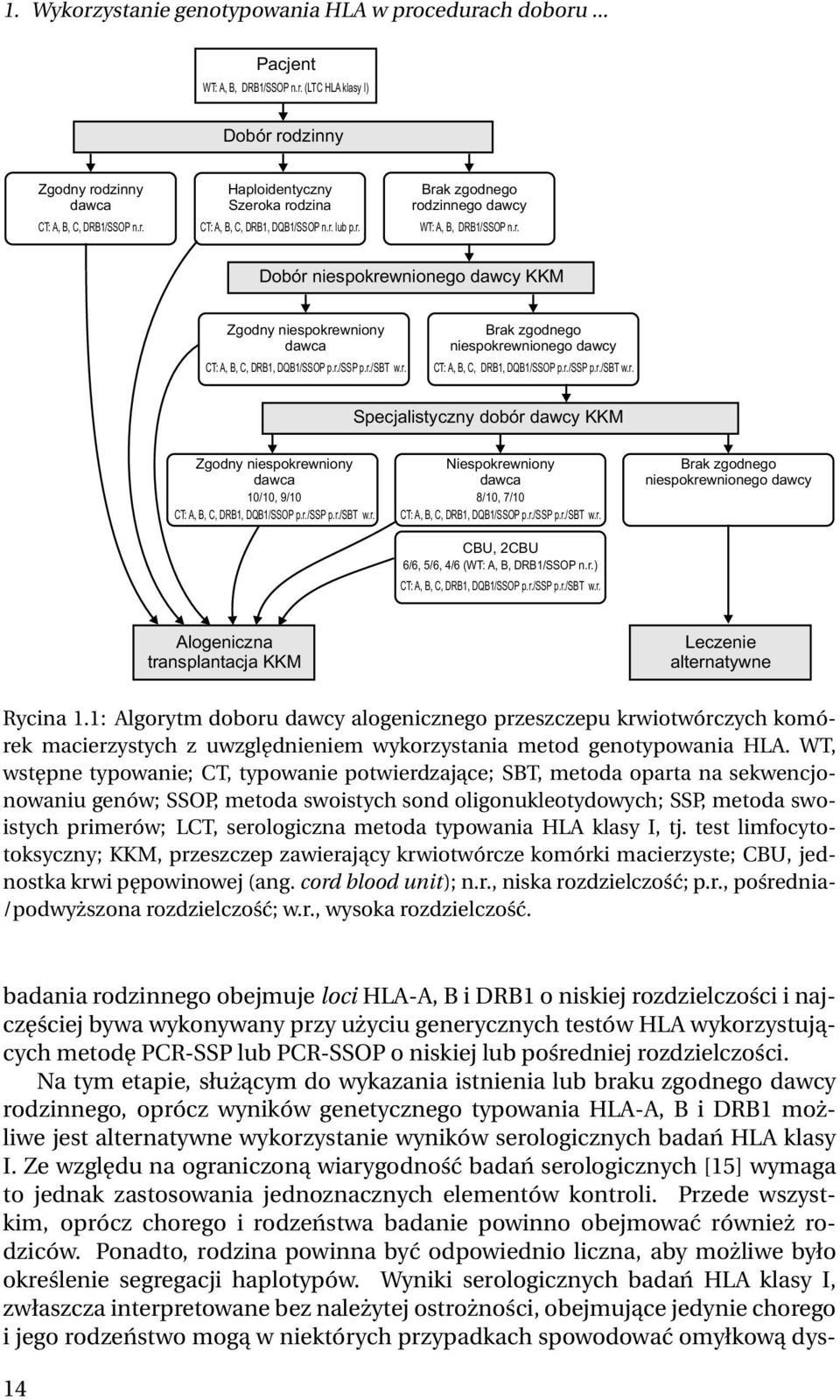 r./ssp p.r./sbt w.r. Specjalistyczny dobór dawcy KKM Zgodny niespokrewniony dawca 10/10, 9/10 CT: A, B, C, DRB1, DQB1/SSOP p.r./ssp p.r./sbt w.r. Niespokrewniony dawca 8/10, 7/10 CT: A, B, C, DRB1, DQB1/SSOP p.