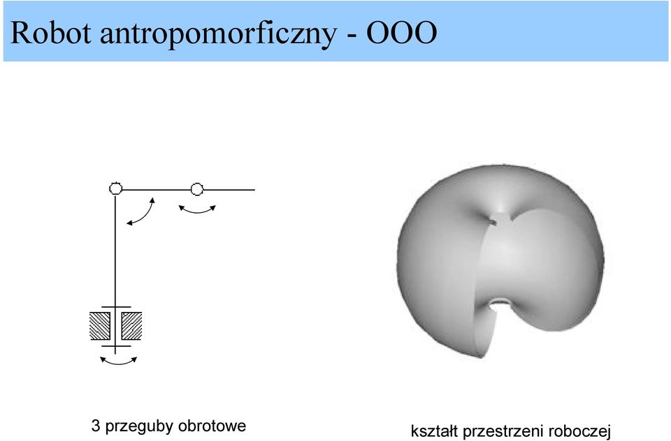 OOO 3 przeguby