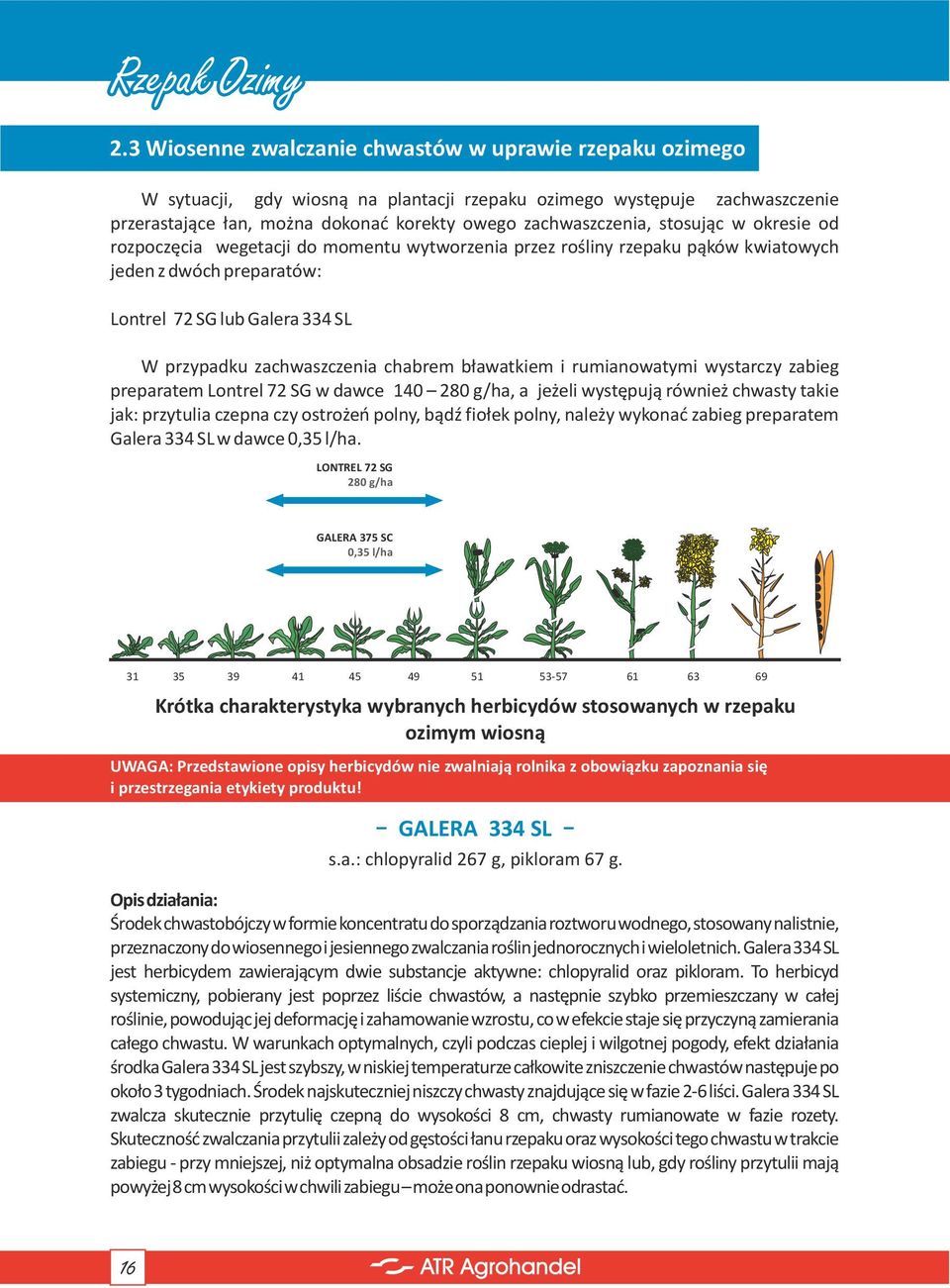stosując w okresie od rozpoczęcia wegetacji do momentu wytworzenia przez rośliny rzepaku pąków kwiatowych jeden z dwóch preparatów: Lontrel 72 SG lub Galera 334 SL W przypadku zachwaszczenia chabrem