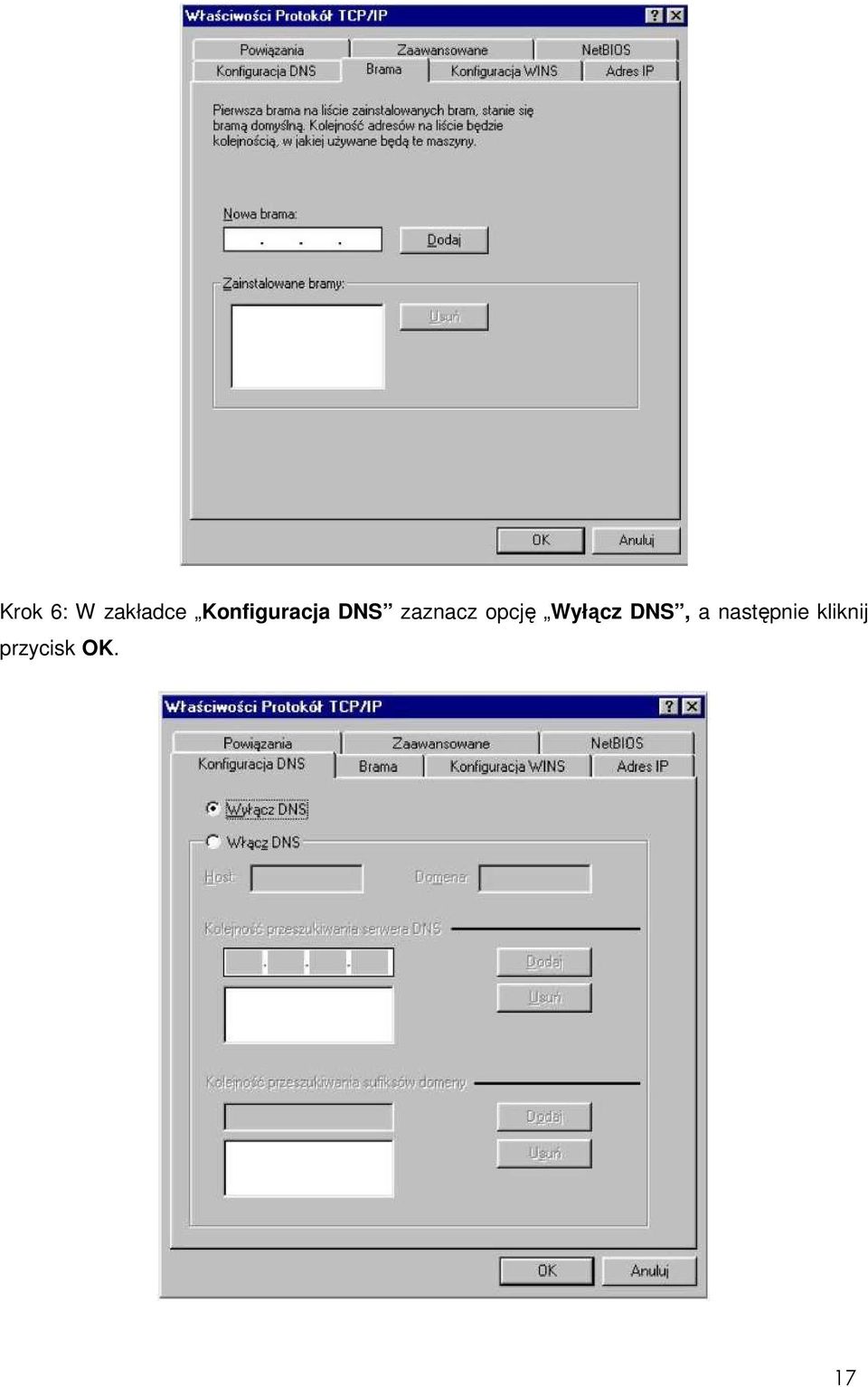 opcję Wyłącz DNS, a