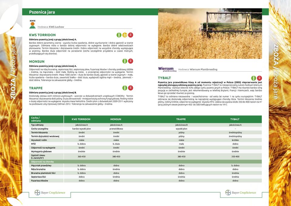 Bardzo duża odporność na porastanie (cecha szczególnie przydatna w czasie mokrych, przedłużających się zbiorów). ZBOŻA / Zboża jare MONSUN Odmiana pszenicy jarej z grupy jakościowej A.