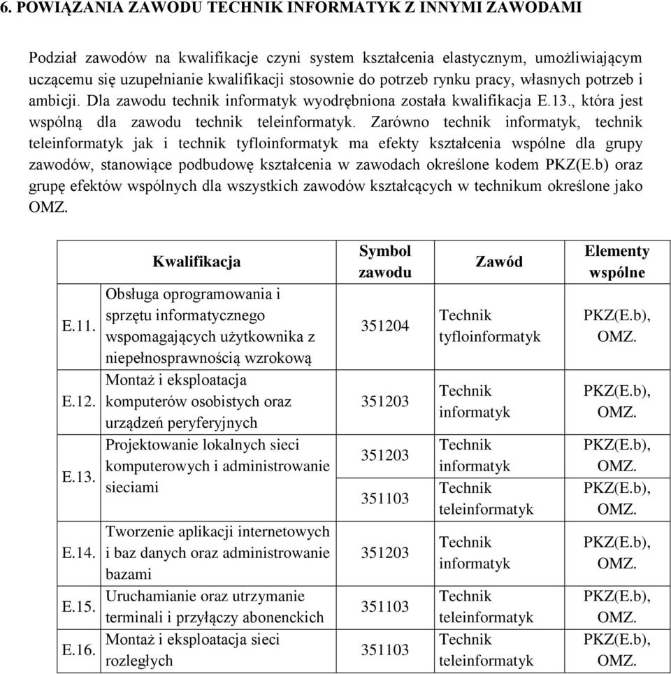 Zarówno technik informatyk, technik teleinformatyk jak i technik tyfloinformatyk ma efekty kształcenia wspólne dla grupy zawodów, stanowiące podbudowę kształcenia w zawodach określone kodem PKZ(E.