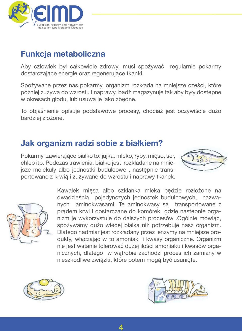 To objaśnienie opisuje podstawowe procesy, chociaż jest oczywiście dużo bardziej złożone. Jak organizm radzi sobie z białkiem? Pokarmy zawierające białko to: jajka, mleko, ryby, mięso, ser, chleb itp.
