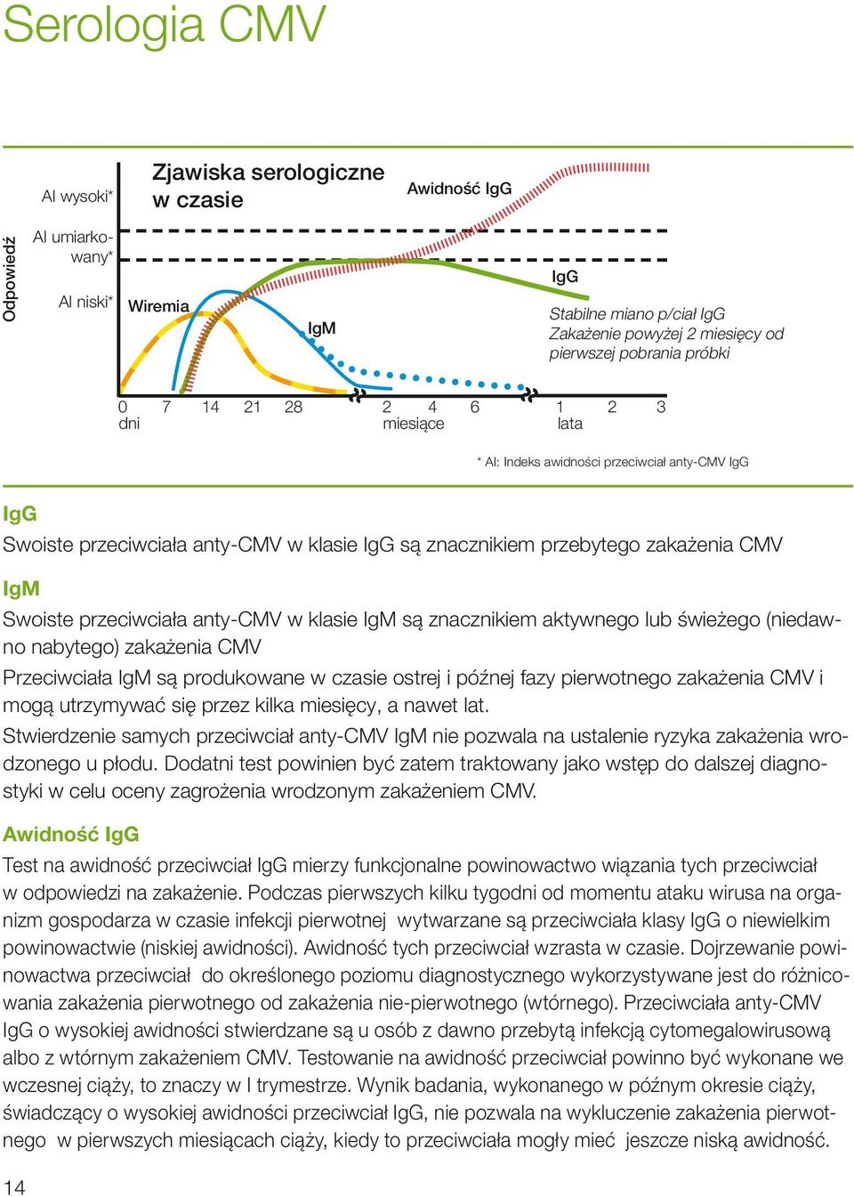 przeciwciała anty-cmv w klasie IgM są znacznikiem aktywnego lub świeżego (niedawno nabytego) zakażenia CMV Przeciwciała IgM są produkowane w czasie ostrej i późnej fazy pierwotnego zakażenia CMV i