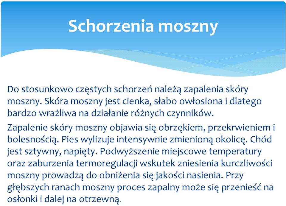 Zapalenie skóry moszny objawia sięobrzękiem, przekrwieniem i bolesnością. Pies wylizuje intensywnie zmienionąokolicę.