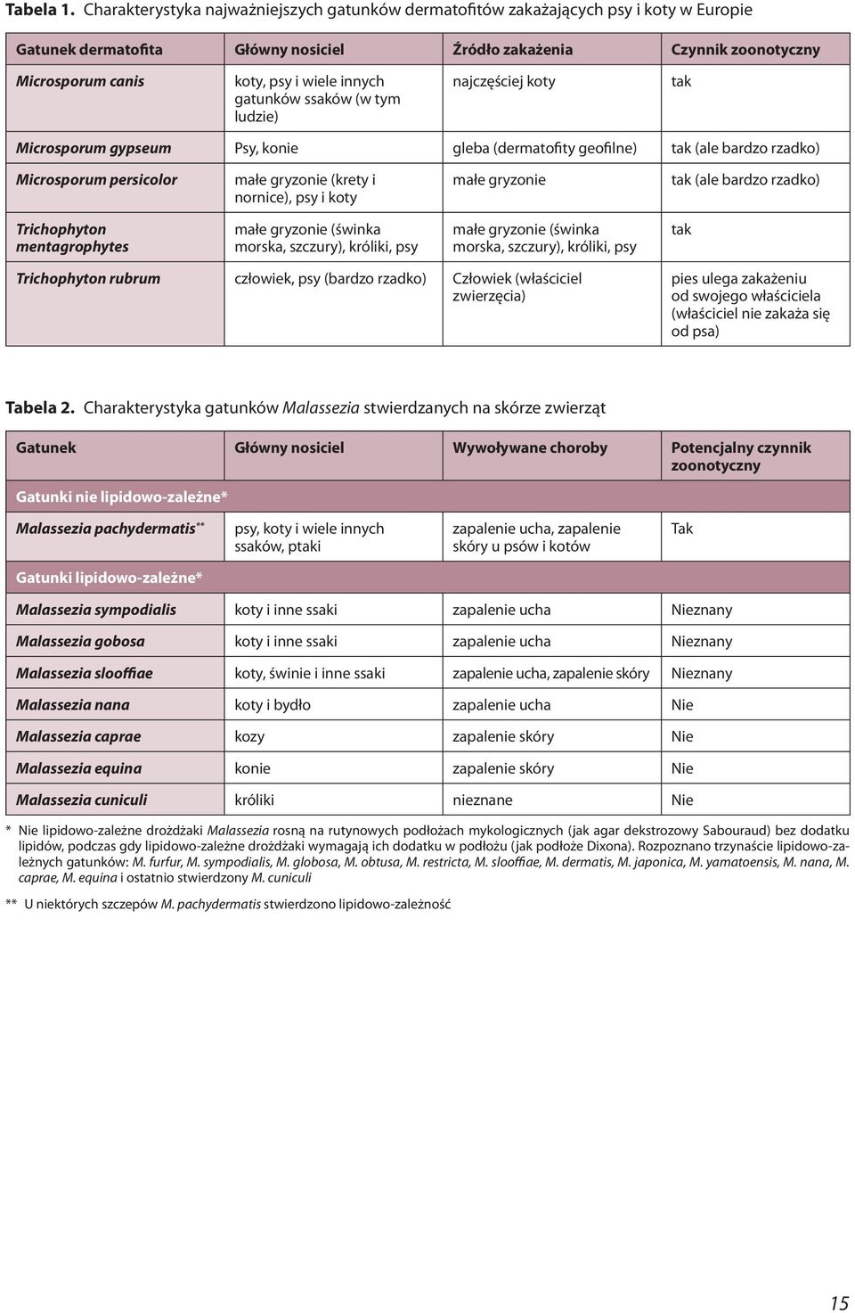 innych gatunków ssaków (w tym ludzie) najczęściej koty tak Microsporum gypseum Psy, konie gleba (dermatofity geofilne) tak (ale bardzo rzadko) Microsporum persicolor małe gryzonie (krety i nornice),