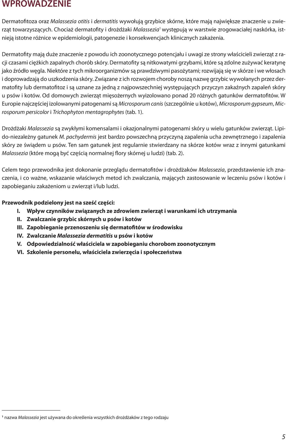 Dermatofity mają duże znaczenie z powodu ich zoonotycznego potencjału i uwagi ze strony właścicieli zwierząt z racji czasami ciężkich zapalnych chorób skóry.