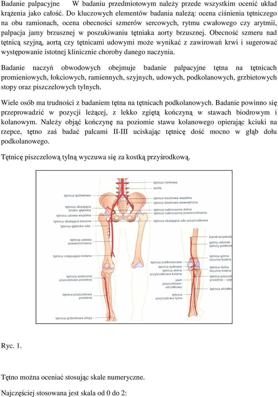 aorty brzusznej. Obecność szmeru nad tętnicą szyjną, aortą czy tętnicami udowymi moŝe wynikać z zawirowań krwi i sugerować występowanie istotnej klinicznie choroby danego naczynia.