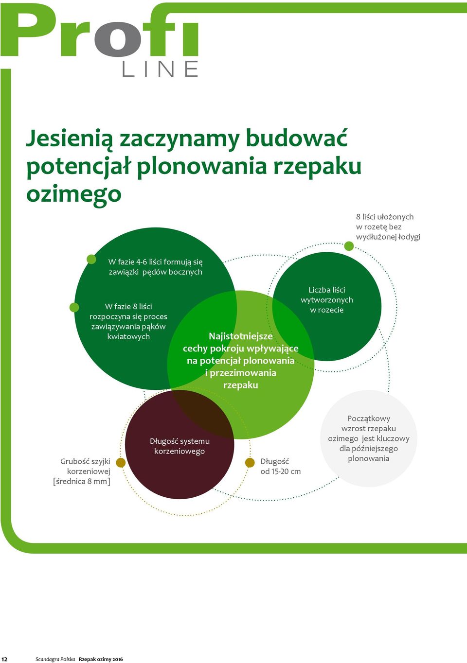 wpływające na potencjał plonowania i przezimowania rzepaku Liczba liści wytworzonych w rozecie Grubość szyjki korzeniowej [średnica 8 mm]