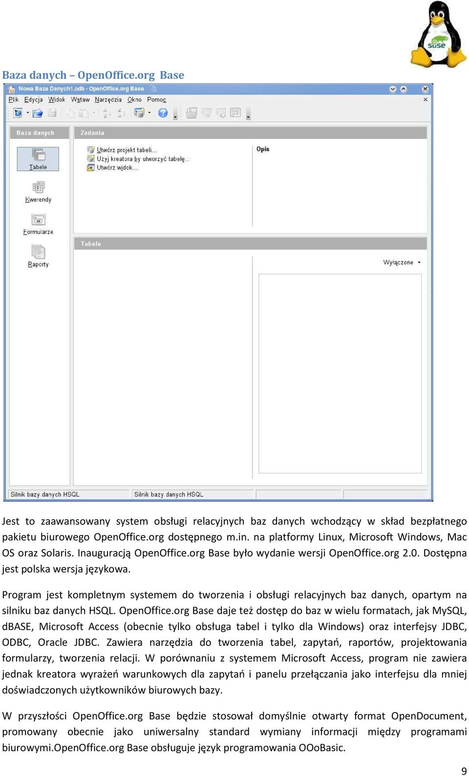 Program jest kompletnym systemem do tworzenia i obsługi relacyjnych baz danych, opartym na silniku baz danych HSQL. OpenOffice.