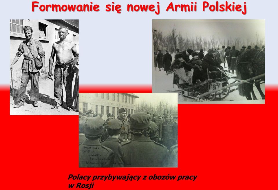 Polskiej Polacy