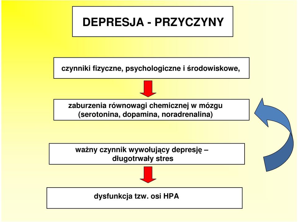 (serotonina, dopamina, noradrenalina) ważny czynnik