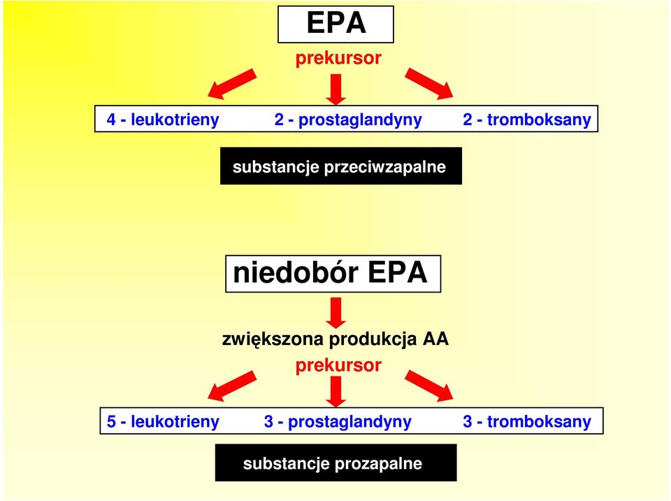 zwiększona produkcja AA prekursor 5 - leukotrieny 3