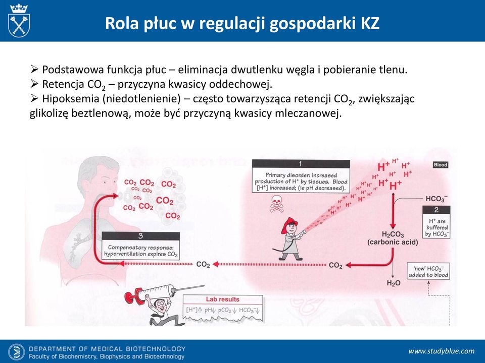 Retencja CO 2 przyczyna kwasicy oddechowej.