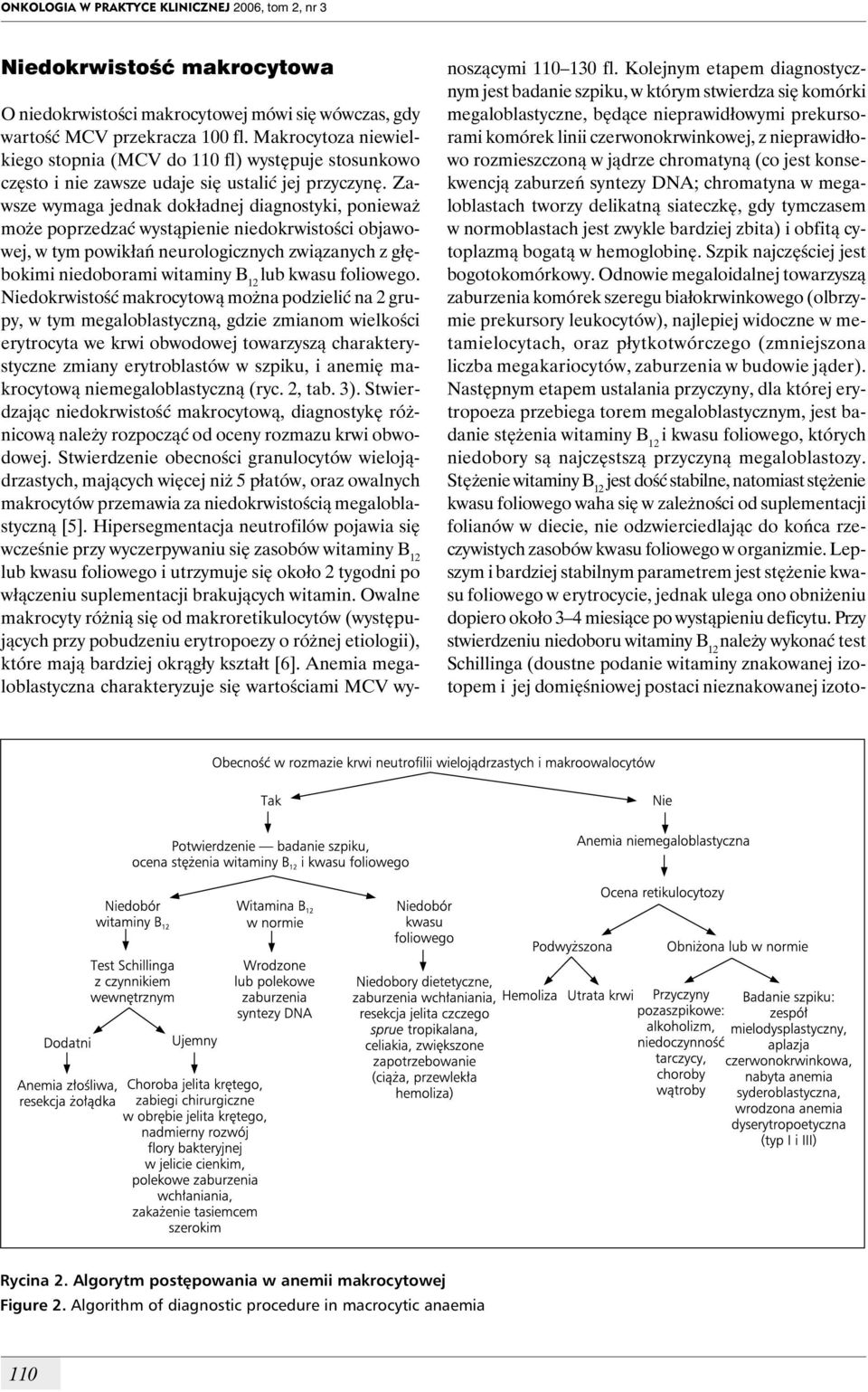 Zawsze wymaga jednak dokładnej diagnostyki, ponieważ może poprzedzać wystąpienie niedokrwistości objawowej, w tym powikłań neurologicznych związanych z głębokimi niedoborami witaminy B 12 lub kwasu