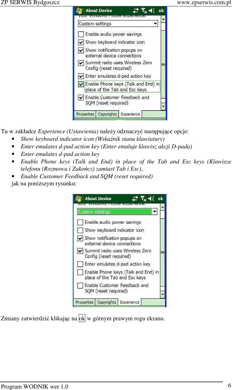 keys (Talk and End) in place of the Tab and Esc keys (Klawisze telefonu (Rozmowa i Zakończ) zamiast Tab i Esc), Enable Customer