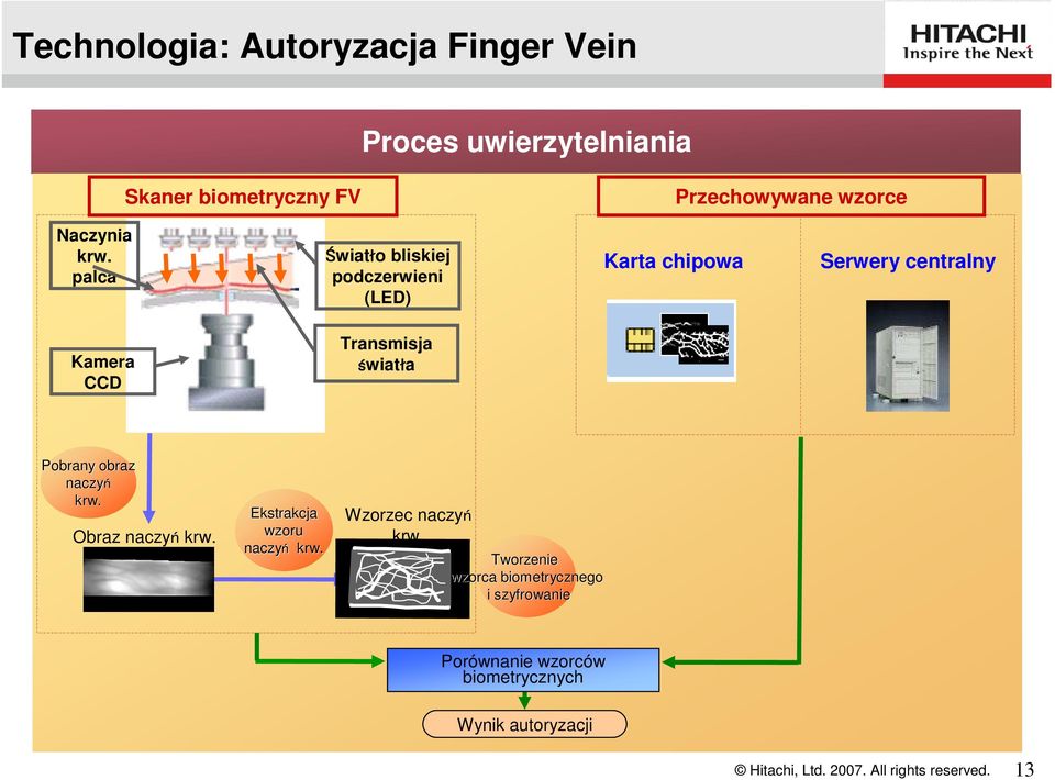 Pobrany obraz naczyń krw. Obraz naczyń krw. Ekstrakcja wzoru naczyń krw. Wzorzec naczyń krw.