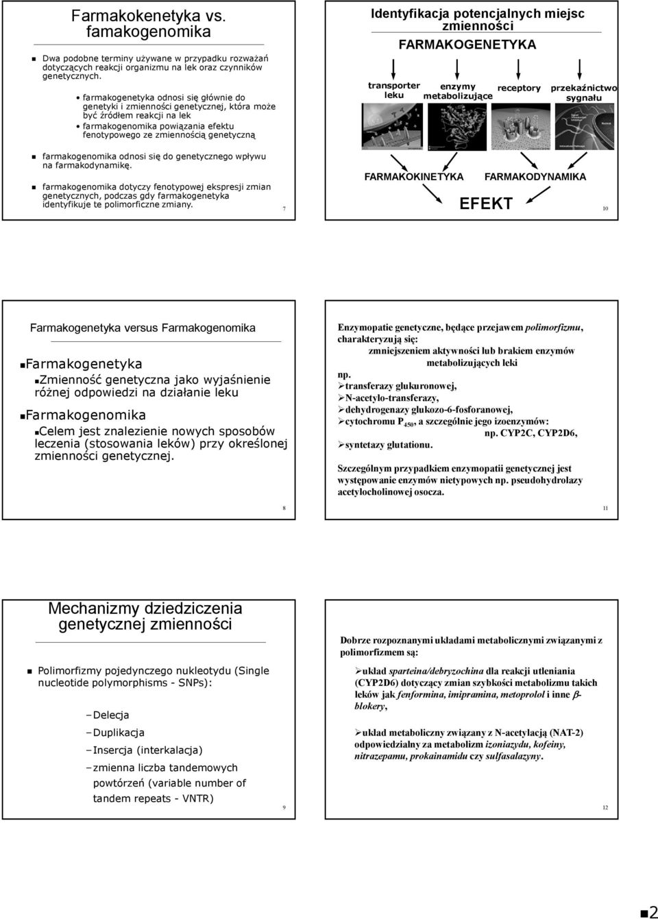 farmakogenomikaodnosi się do genetycznego wpływu na farmakodynamikę. farmakogenomikadotyczy fenotypowej ekspresji zmian genetycznych, podczas gdy farmakogenetyka identyfikuje te polimorficzne zmiany.