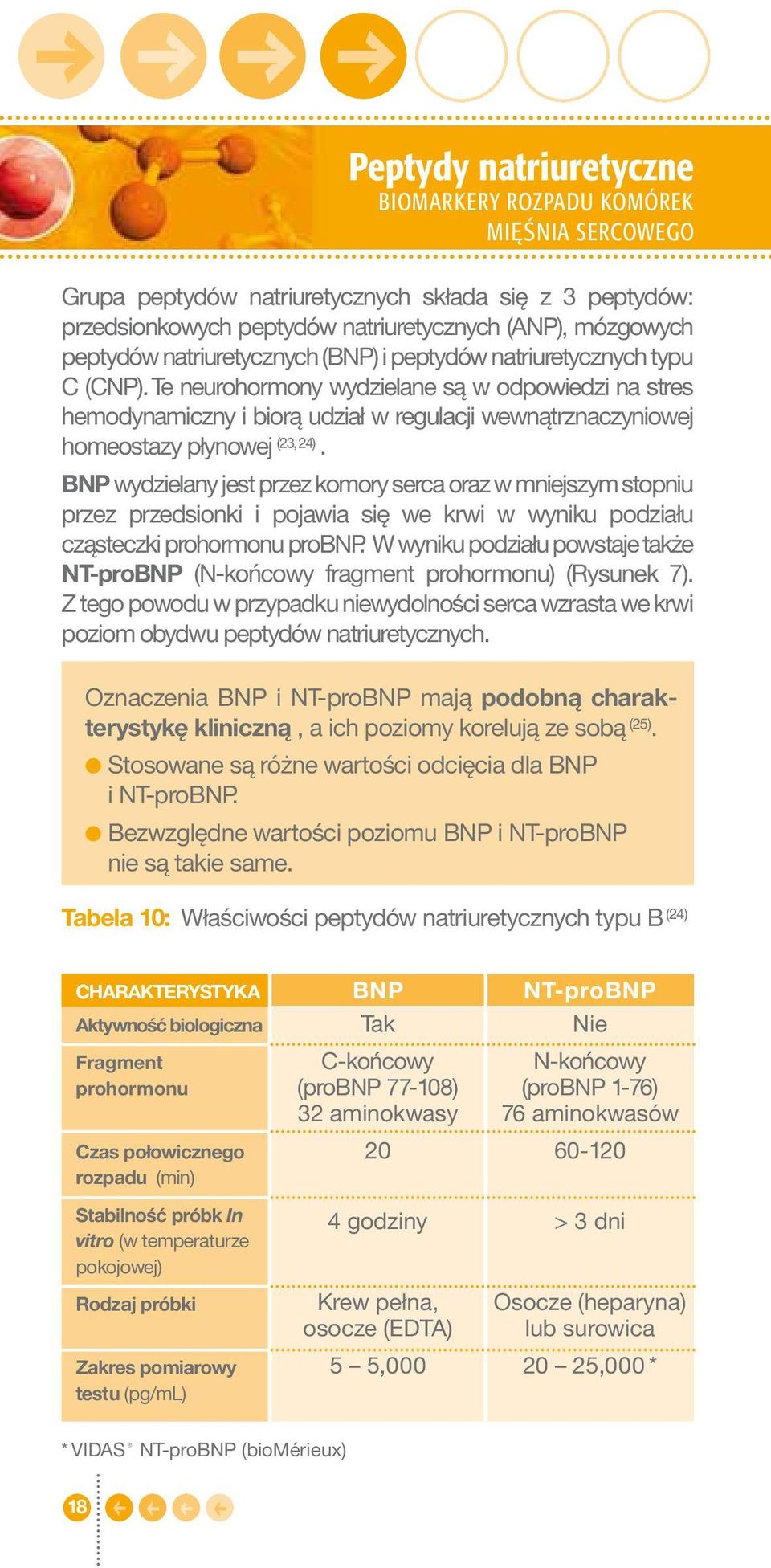 Te neurohormony wydzielane są w odpowiedzi na stres hemodynamiczny i biorą udział w regulacji wewnątrznaczyniowej homeostazy płynowej (23, 24).