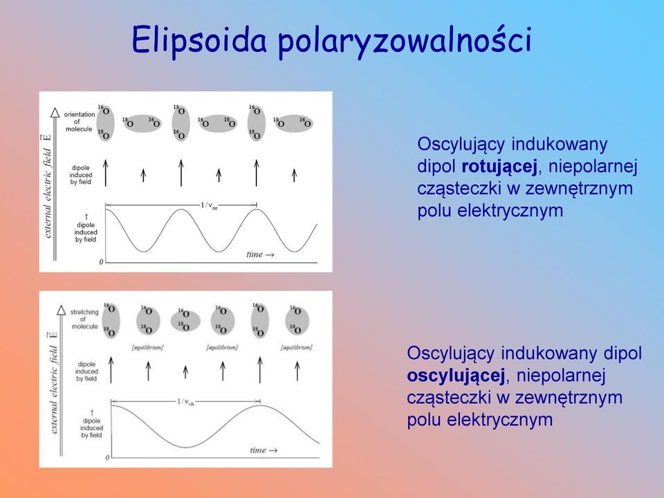 polu elektrycznym Oscylujący indukowany dipol