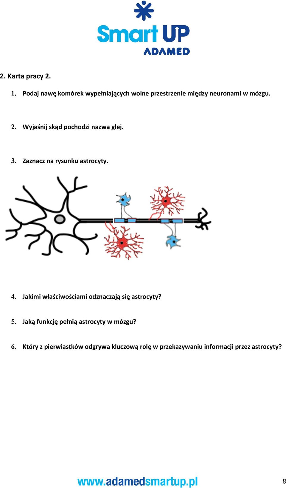 Wyjaśnij skąd pochodzi nazwa glej. 3. Zaznacz na rysunku astrocyty. 4.