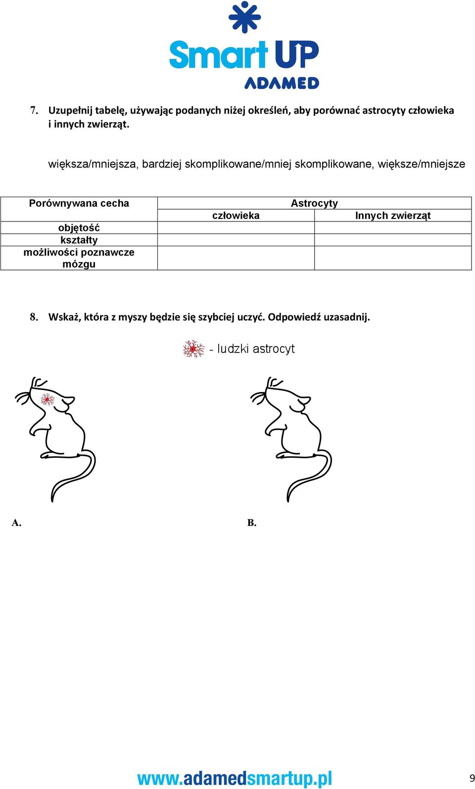 większa/mniejsza, bardziej skomplikowane/mniej skomplikowane, większe/mniejsze Porównywana