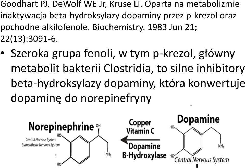 pochodne alkilofenole.biochemistry. 1983 Jun 21; 22(13):3091-6.