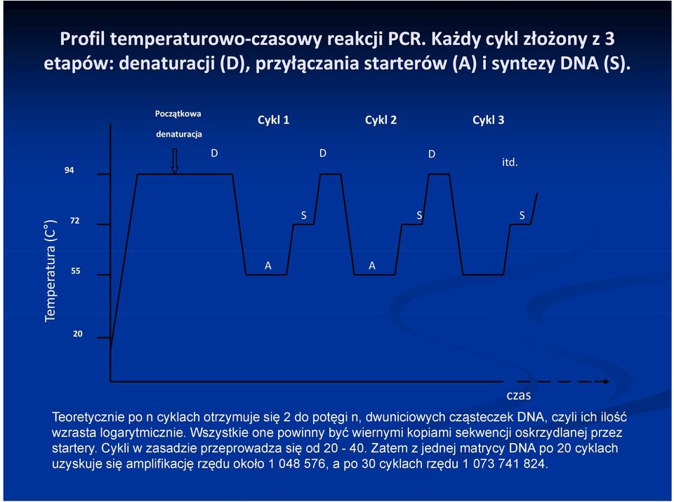 Te emperatura a (C ) 72 S S S 55 A A 20 Teoretycznie po n cyklach otrzymuje się 2 do potęgi n, dwuniciowych cząsteczek DNA, czyli ich ilość wzrasta