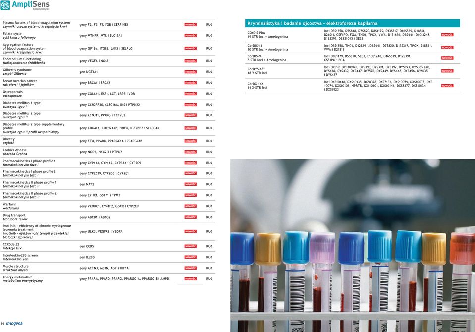 D10S1248, D12S391, D22S1045 i SE33 Aggregation factors of blood coagulation system czynniki krzepnięcia krwi Endothelium functioning funkcjonowanie śródbłonka Gilbert's syndrome zespół Gilberta geny