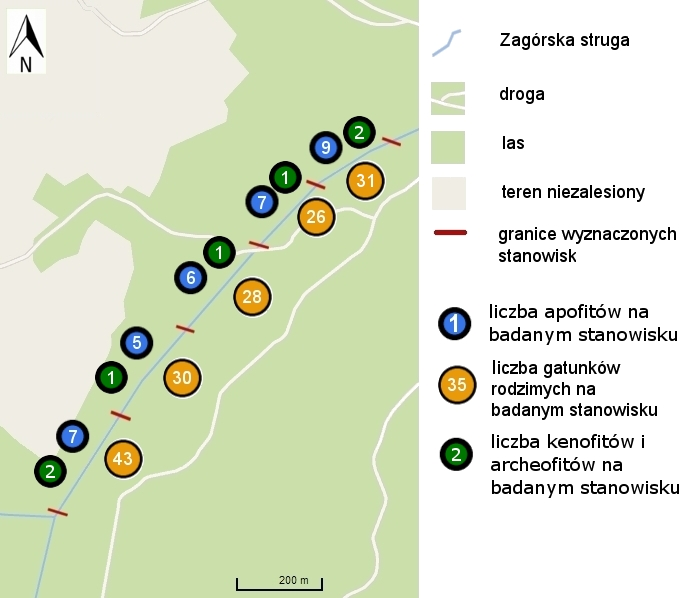 Na całym terenie badań stwierdzono 77 taksonów rodzimych dla polskiej flory.