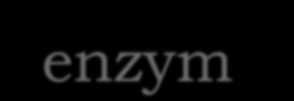 Peroksysom Jest to struktura otoczona jedną błoną i zawierająca enzymy,