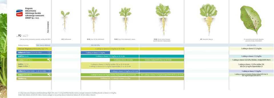 dni 1 zabieg w dawce 5-7,5 kg/ha ActiPlon Buraki L-Actipol EDTA Mo-6 ActiBor 150 lub FoliarActiv Potas-Fosfor + 6-20-36+mikro 3 zabiegi w dawce 1-1,5 kg/ha co 10-14 dni 2 zabiegi w dawce 0,25 l/ha