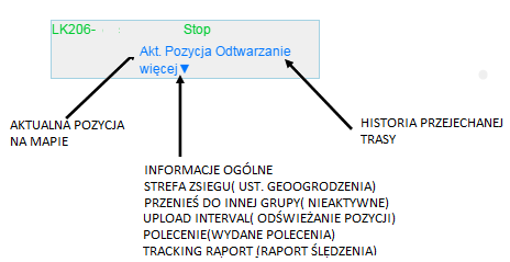 Strona WWW Panel boczny strony www W panelu bocznym pokazuje się zaznaczona na zielono nazwa lokalizatora (online).